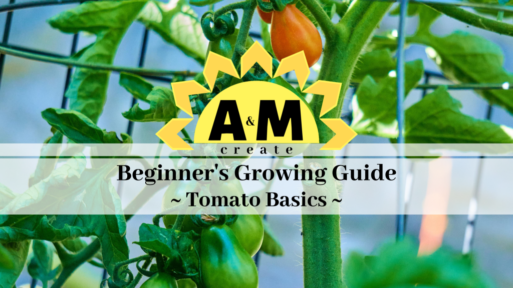 Beginner S Growing Guide Tomato Basics   Tomato Growing Guide 1024x576 